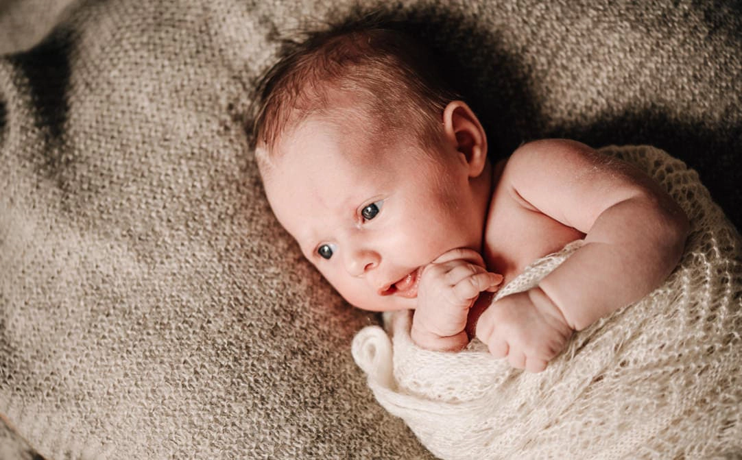 Jung und Wild design - Newborn Fotografie, Homestory, Familienfotos zu Hause mit Baby, First Year Session