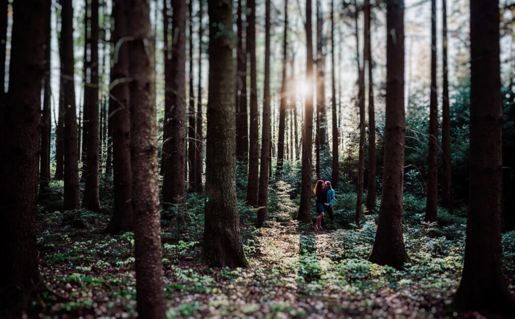 Pärchenfotos bei Abendsonne im Wald, Frau mit roten Locken, Waldshooting in Pfaffenhofen, München, Ingolstadt