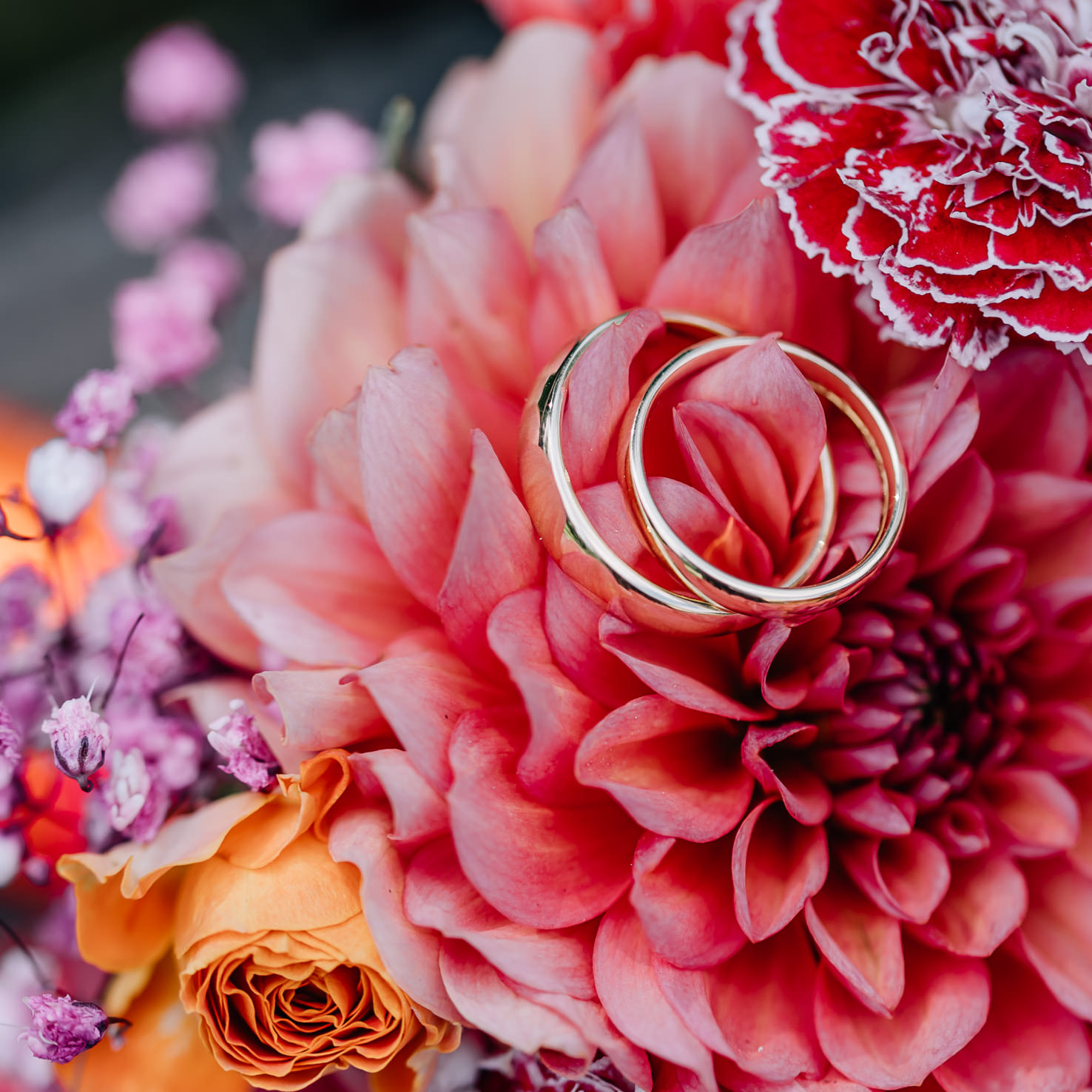 Das Bild zeigt eine detailreiche Nahaufnahme von zwei Eheringen, die sakral auf einer prächtigen Blütenpracht aus pinken und roten Blumen liegen. Diese Hochzeitsfotos, aufgenommen von der Fotografin Mica Zeitz, fangen die romantische Stimmung in Olching perfekt ein.